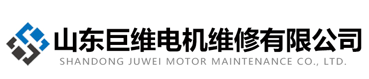 山东巨维电机维修有限公司